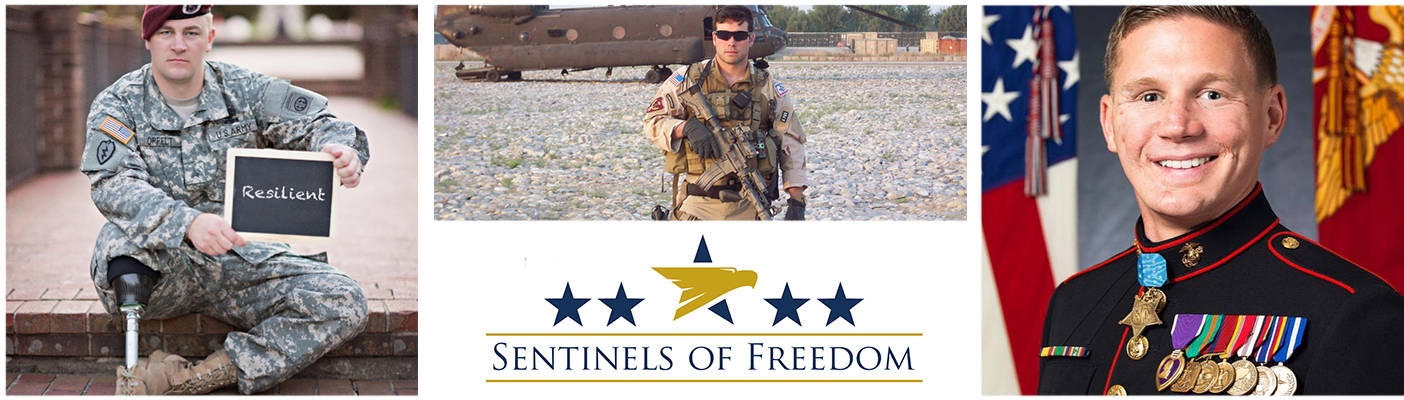 Sentinels of Freedom Header Image