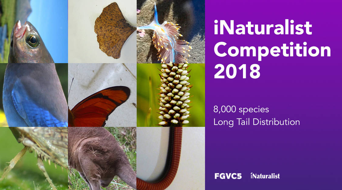 DLA 2018 iNaturalist Competition - Exhibit 1